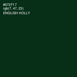 #072F17 - English Holly Color Image